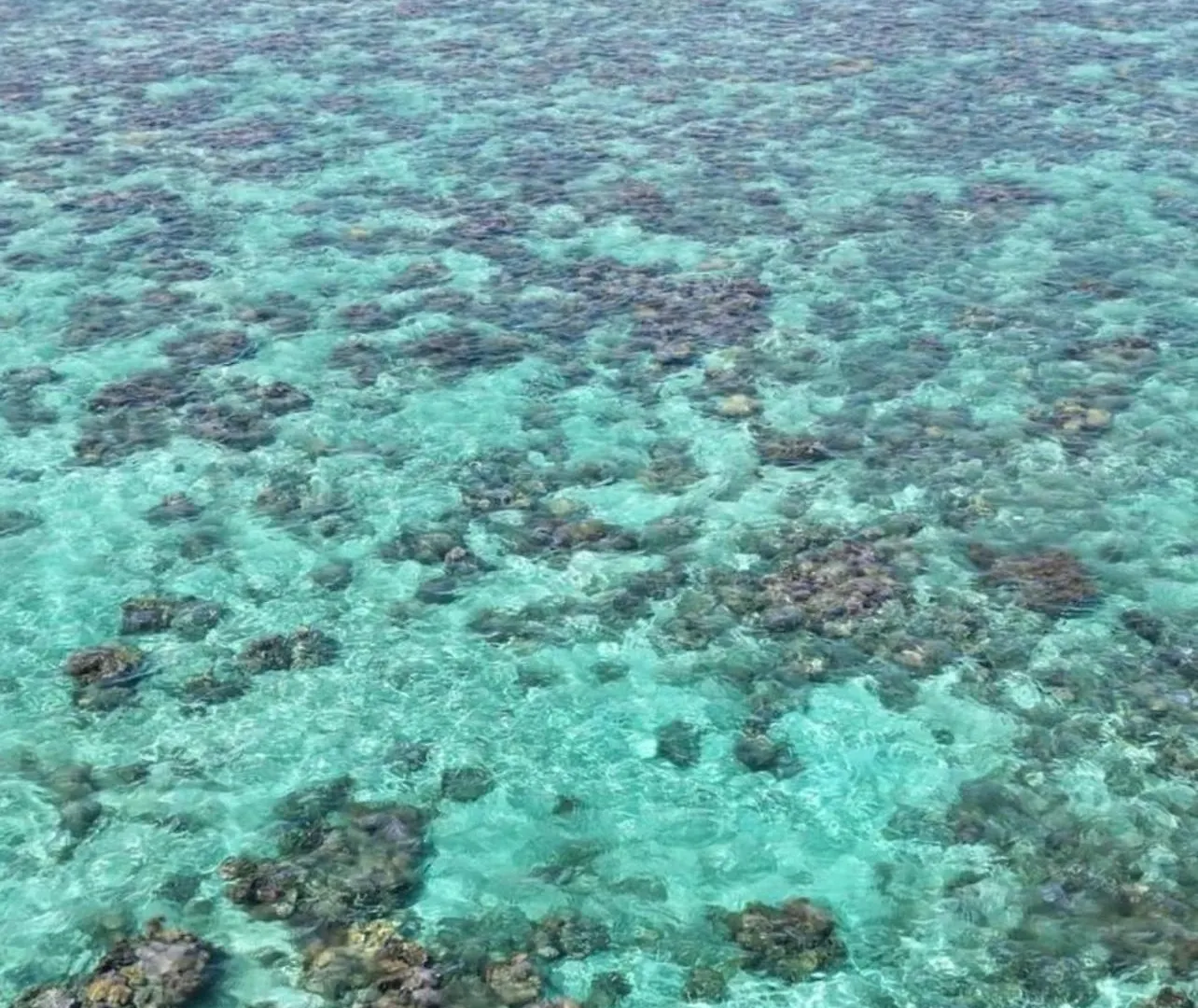 Pk 35 Villa Apomaoro 0*,  French Polynesia